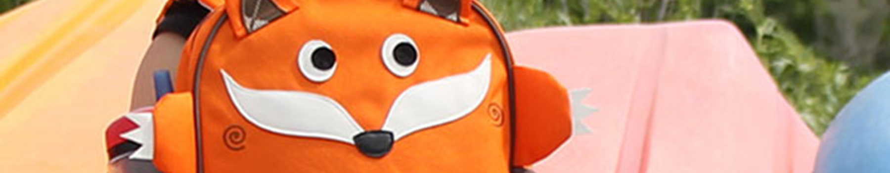 Everyday Backpacks