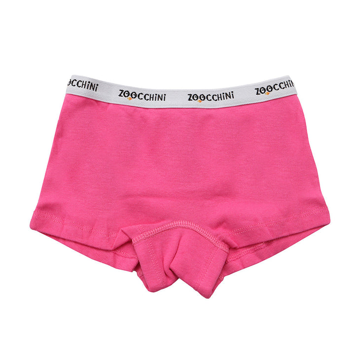 3 Piece Organic Hipster Shorts - Flower Power