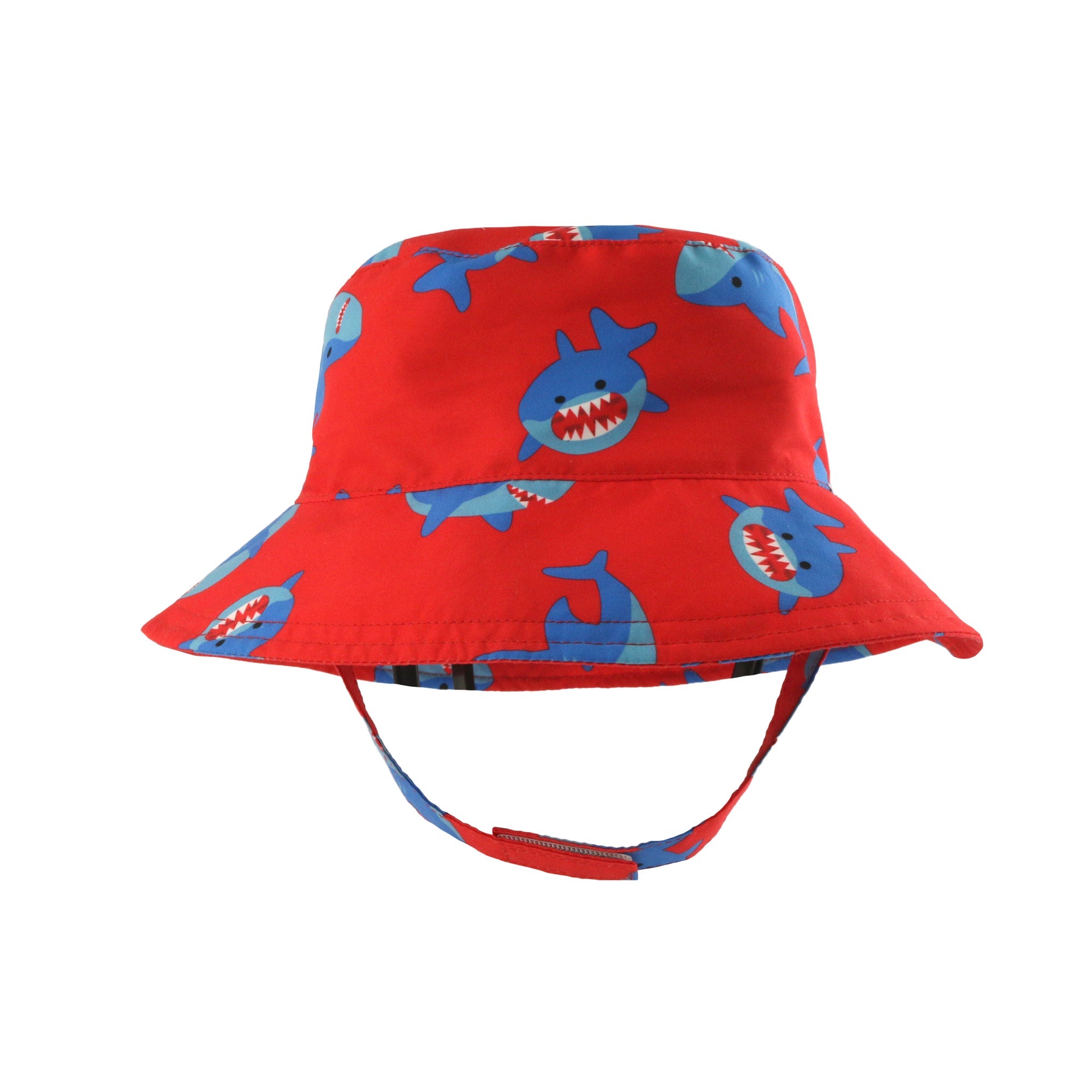 Shark Collection