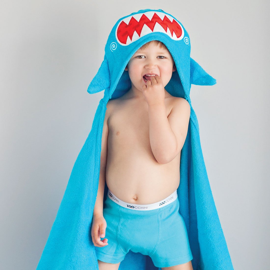 https://www.zoocchini.com/cdn/shop/products/11108-Shark-LS1-web_871be193-7336-4db0-b875-d0377c409b35_1100x.jpg?v=1526051220