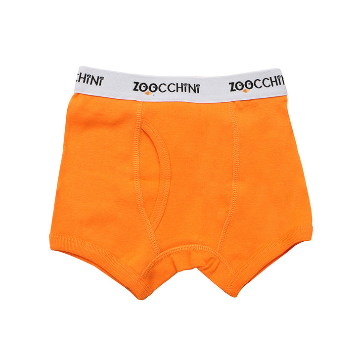ZOOCCHINI 3 Piece Organic Boxers - Space Force